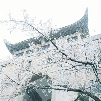 在台北故宫“看见”《红楼梦》